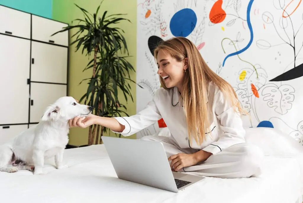 Une jeune femme en pyjama est assise sur un lit avec un ordinateur portable, souriante, tout en caressant doucement un petit chien blanc. La pièce est décorée d'œuvres d'art murales colorées et abstraites, avec une plante verte en arrière-plan.