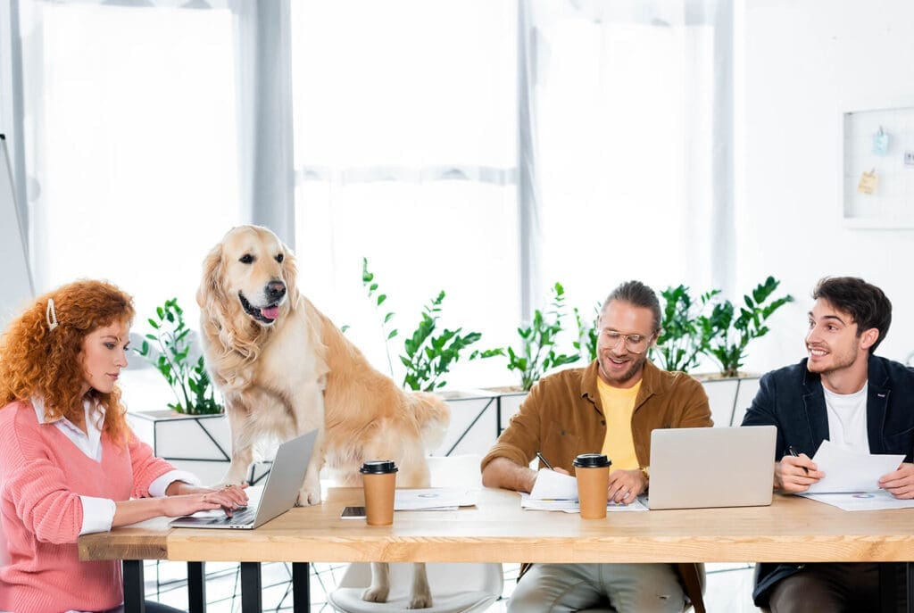 Quatre personnes travaillent à une table avec des ordinateurs portables et des papiers, tandis qu'un golden retriever se tient sur la table au milieu d'elles. Le groupe apparaît joyeux et décontracté dans un bureau lumineux avec des plantes en arrière-plan.