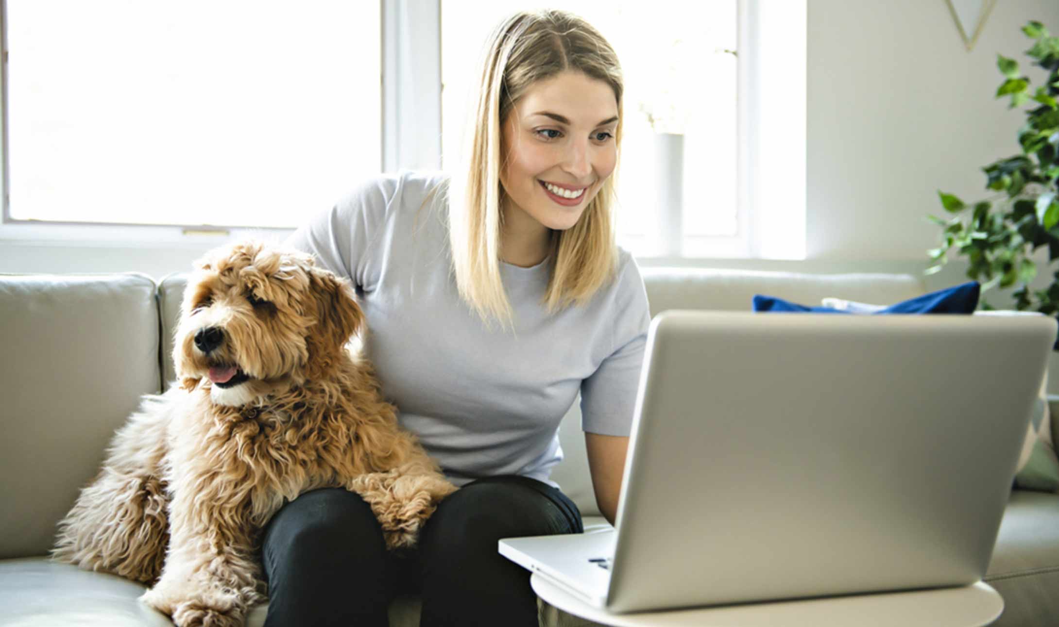Une femme souriante est assise sur un canapé avec un chien brun et tout doux, regardant un ordinateur portable posé sur une table devant elle. La lumière du soleil filtre par une fenêtre et une plante est visible en arrière-plan.